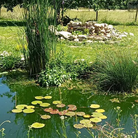 Le Moulin De Roc Pensión
