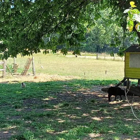 Le Moulin De Roc 3*